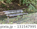 茨城県日立市　小木津山自然公園内のベンチ 131547995