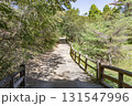 茨城県日立市　小木津山自然公園 131547996