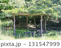 茨城県日立市　小木津山自然公園内のベンチ 131547999