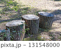 茨城県日立市　小木津山自然公園 131548000