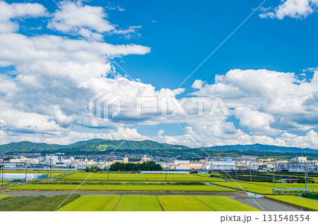 久御山町の田園風景 京都府久世郡久御山町 久御山町の田園風景 京都府久世郡久御山町 131548554