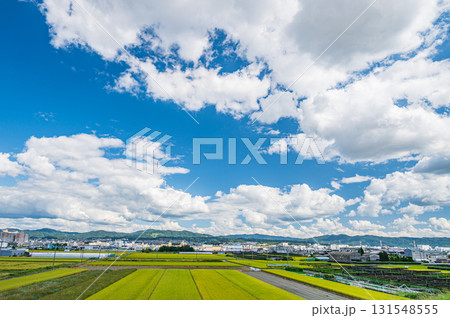 久御山町の田園風景 京都府久世郡久御山町 久御山町の田園風景 京都府久世郡久御山町 131548555