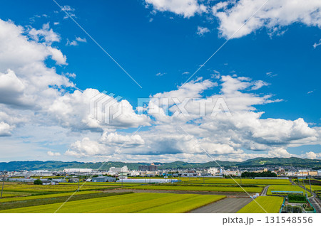 久御山町の田園風景 京都府久世郡久御山町 久御山町の田園風景 京都府久世郡久御山町 131548556