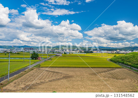 久御山町の田園風景 京都府久世郡久御山町 久御山町の田園風景 京都府久世郡久御山町 131548562