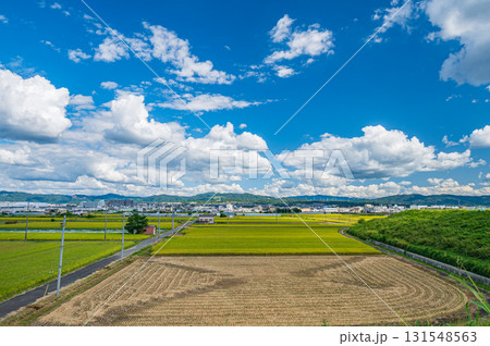 久御山町の田園風景　京都府久世郡久御山町 131548563