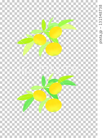 Colorful Yuzu illustration 131548738