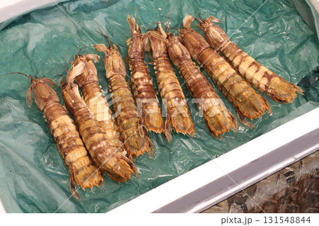 シャコ 蝦蛄 小樽三角市場 小樽市場めぐり 三角市場 シャコ 蝦蛄 小樽三角市場 小樽市場めぐり 三角市場 131548844