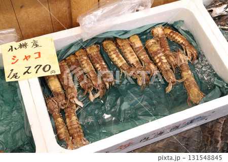 シャコ 蝦蛄 小樽三角市場 小樽市場めぐり 三角市場 シャコ 蝦蛄 小樽三角市場 小樽市場めぐり 三角市場 131548845