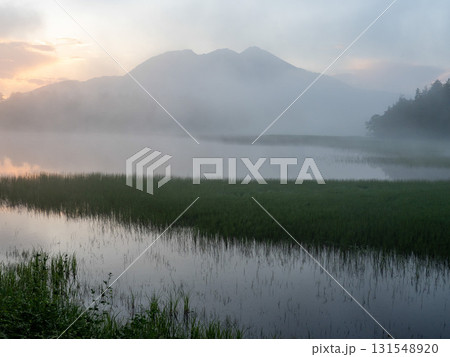 夏の訪れ　尾瀬 131548920