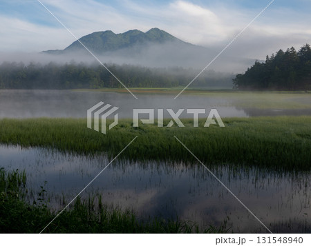 夏の訪れ 尾瀬 夏の訪れ 尾瀬 131548940