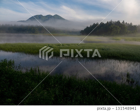 夏の訪れ　尾瀬 131548941