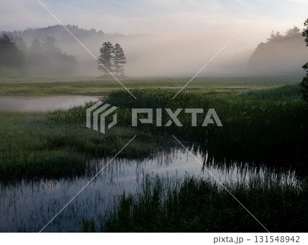 夏の訪れ 尾瀬 夏の訪れ 尾瀬 131548942