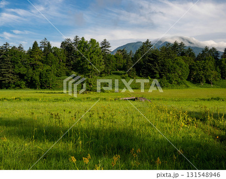 夏の訪れ　尾瀬 131548946