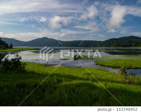 夏の訪れ　尾瀬 131548952