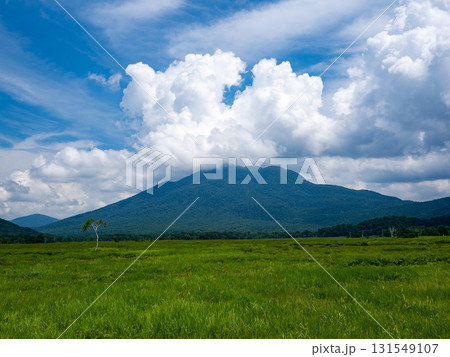 尾瀬の美しい山並みと自然 131549107