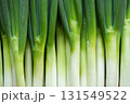 長ねぎ(2) 131549522