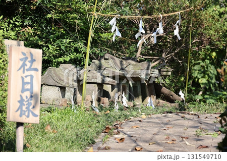 群馬県伊勢崎市の橋江沼湖畔の社月様の祠 131549710