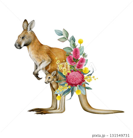 Red kangaroo with floral decor hand drawn watercolor vintage style illustration. Kangaroo Australian endemic marsupial mammal with Australia wildflowers native flora decoration on white background 131549731