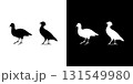 Crake bird silhouette icon graphic design isolated animal wildlife vector 131549980