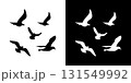 Seagull silhouette fly gull bird black icon shape graphic 131549992