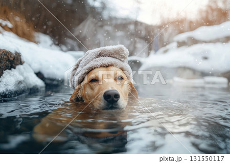 charming dog relaxing in snowy hot spring, wearing towel 131550117
