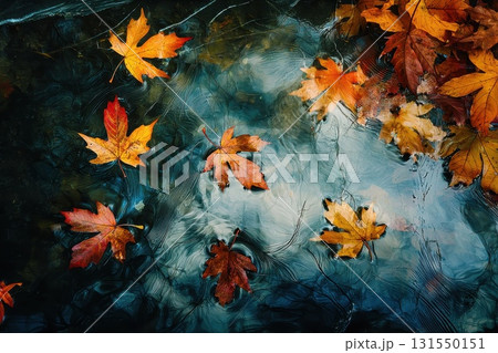 Swirling Maple Leaves on Water Surface Swirling Maple Leaves on Water Surface 131550151