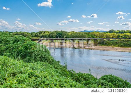 木津川風景　上津屋橋（流れ橋）　京都府八幡市 131550304