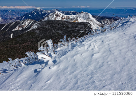 八ヶ岳連峰・硫黄岳への登りから見る天狗岳・蓼科山と白馬連峰・妙高連峰 131550360