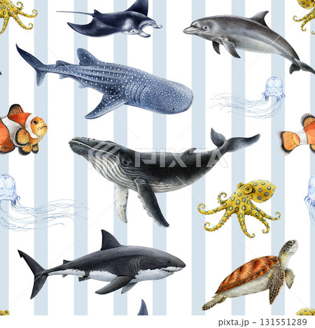 Australia marine life animals seamless pattern. Hand drawn great white shark, whale shark, humpback whale, green sea turtle, manta ray watercolor vintage style illustration on striped background 131551289