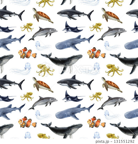 Australia marine life animals seamless pattern element. Hand drawn great white shark, whale shark, humpback whale, green sea turtle, manta ray watercolor illustration on white background. 131551292