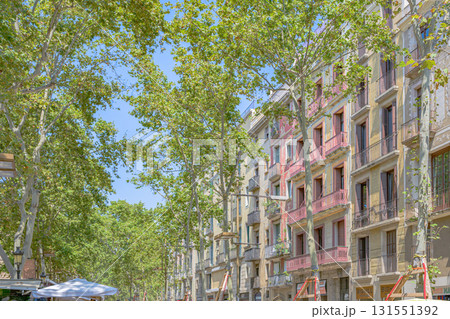 バルセロナ、街並み、歴史ある、真夏、スペイン バルセロナ、街並み、歴史ある、真夏、スペイン 131551392