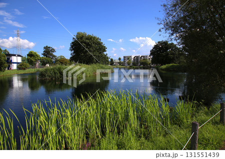 中郷温水池 中郷温水池 131551439