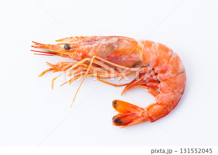 有頭赤エビ 131552045