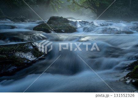 光さす菊池渓谷　熊本 131552326