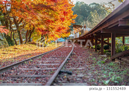 紅葉に包まれる三河広瀬駅 紅葉に包まれる三河広瀬駅 131552489