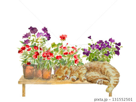 水彩で描いた鉢植えの花をバックに眠る猫のイラスト素材【水彩画】白