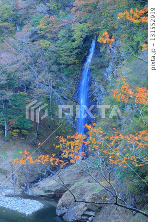 真っ赤な紅葉 131552919