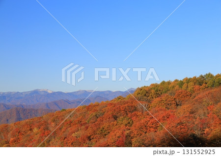 真っ赤な紅葉 131552925