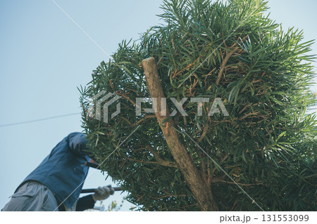 Japanese Gardener 131553099