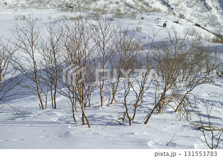 冬の木曽駒ヶ岳 131553783