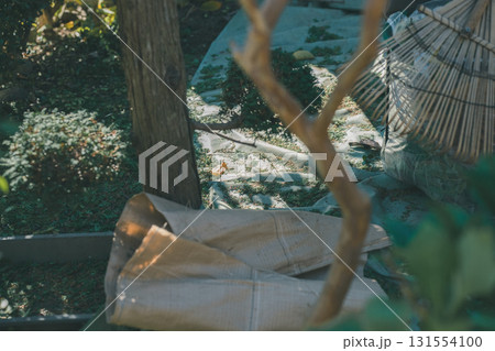 Japanese Gardener Japanese Gardener 131554100