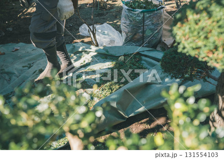 Japanese Gardener 131554103