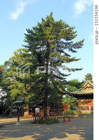 井草八幡宮(杉並） 131554190