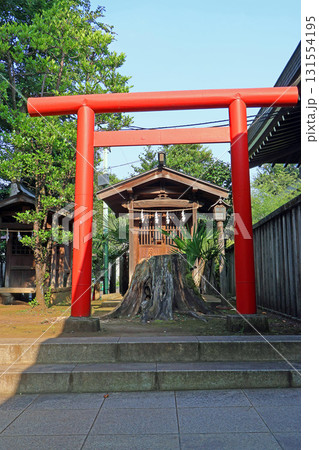 井草八幡宮(杉並) 井草八幡宮(杉並) 131554195