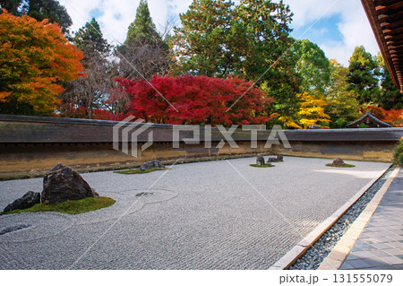 Rock garden and colorful fall leaf at Ryoan-ji temple, Kyoto, Japan 131555079