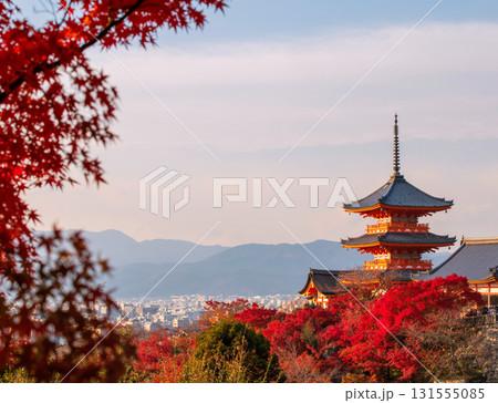 Kiyomizu-dera temple and city view with autumn foliage colors, Kyoto 131555085