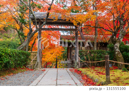 Adashino Nenbutsuji temple gate and autumn leaf color, Arashiyama Adashino Nenbutsuji temple gate and autumn leaf color, Arashiyama 131555100