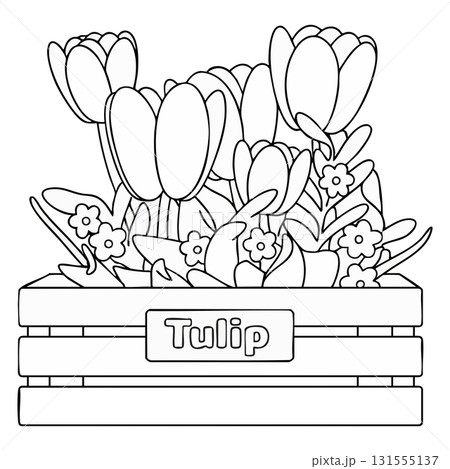 Abundant Tulip Buds in Labeled Planter Outline - Spring Floral Line Art on Transparent Background 131555137