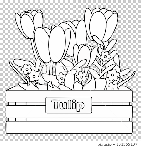 Abundant Tulip Buds in Labeled Planter Outline - Spring Floral Line Art on Transparent Background 131555137