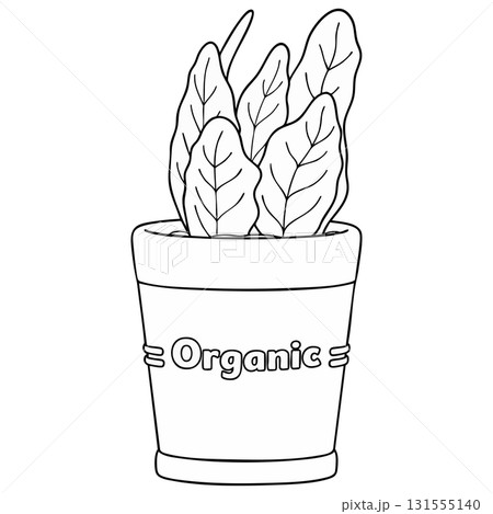 Simple Organic Potted Houseplant Outline - Minimalist Line Art on Transparent Background 131555140